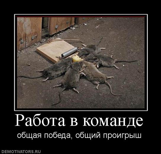 623041_rabota-v-komande.jpg