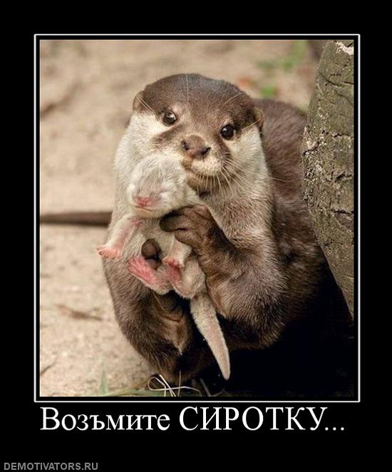 968568_vozmite-sirotku.jpg