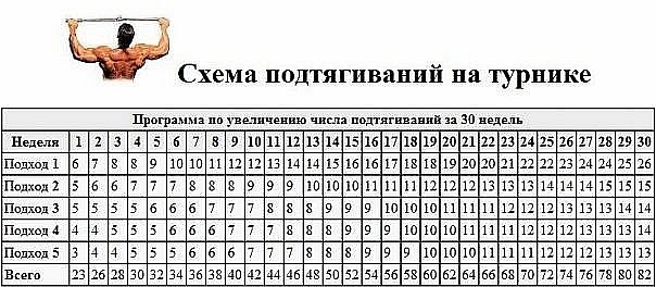 Как можно научиться красиво рисовать карандашом? Как вырастить финик из косточки и как ухаживать за
