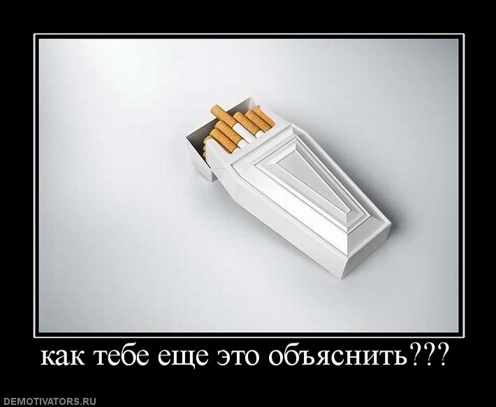 383720_kak-tebe-esche-eto-obyasnit.jpg