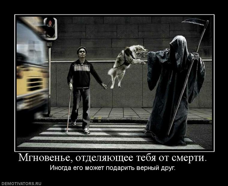 847971_mgnovene-otdelyayuschee-tebya-ot-smerti.jpg