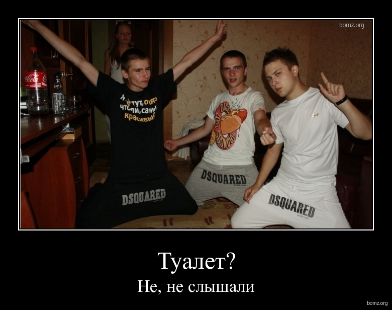 481153-2011.08.14-03.28.55-bomz.org-demotivator_tualet_ne_ne_sliyshali.jpg