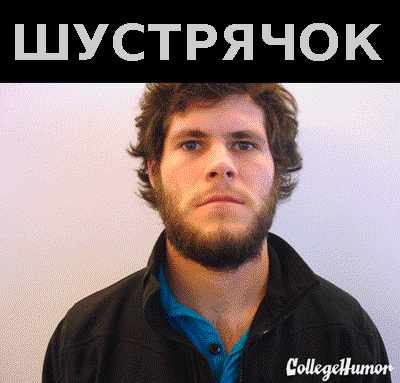 shustryachok.gif