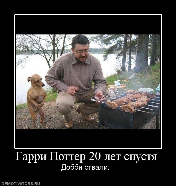343399_garri-potter-20-let-spustya.jpg