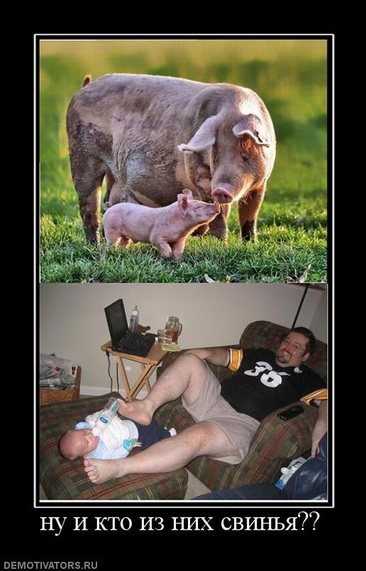 395008_nu-i-kto-iz-nih-svinya.jpg