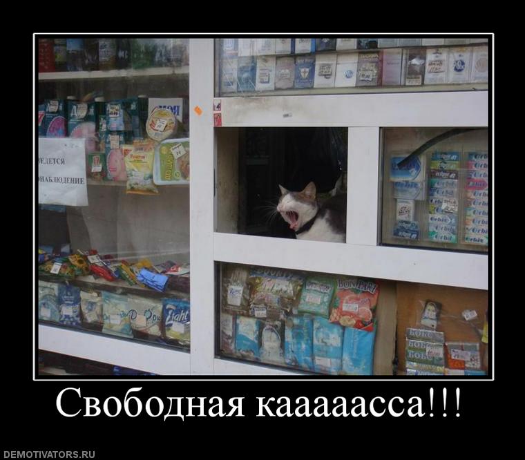 197087_svobodnaya-kaaaaassa.jpg