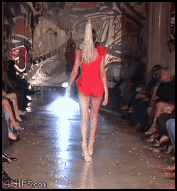 2011_02_11_15_02_4gifs_com_gallery_d_178636_1_Model_ankles_walk.gif