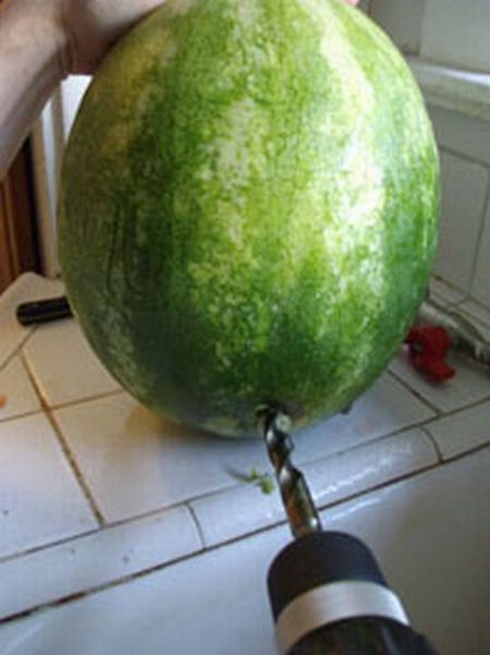 1256277953_watermelon_03.jpg