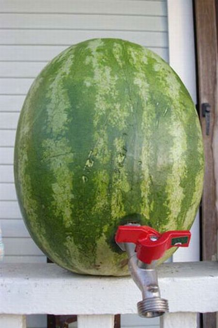 1256278001_watermelon_08.jpg
