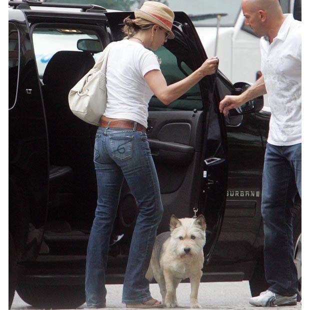 celebrity_pets_01.jpg