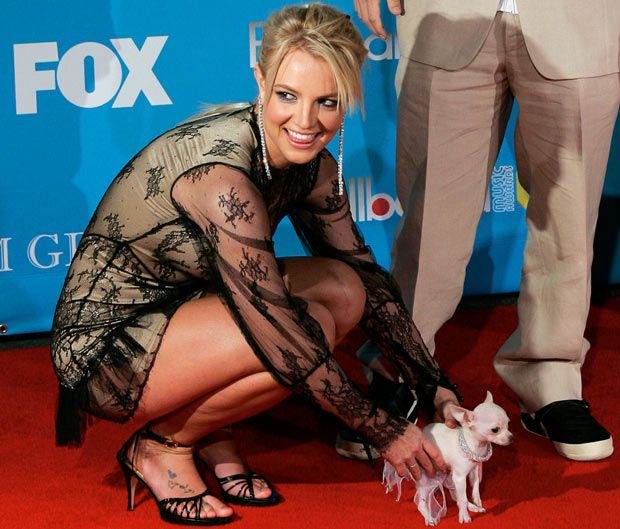 celebrity_pets_02.jpg