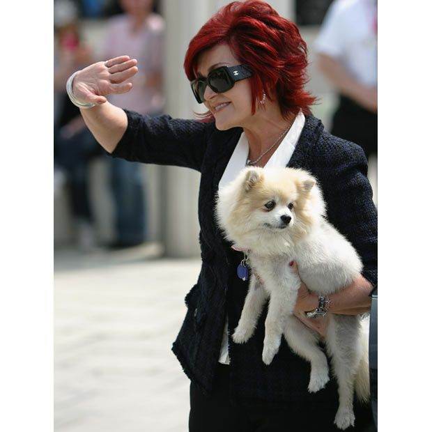 celebrity_pets_12.jpg