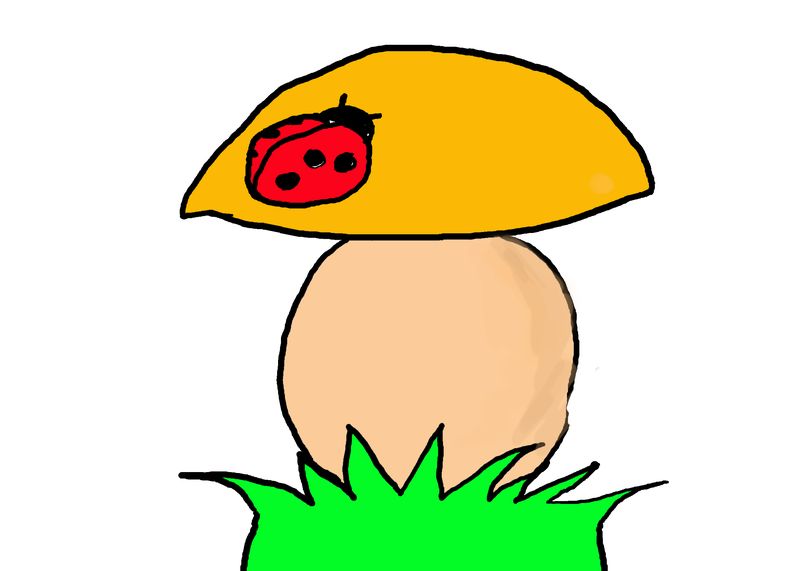 mushroom.jpg