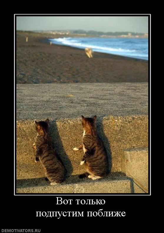 571359_vot-tolko-podpustim-poblizhe.jpg