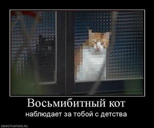 932221_vosmibitnyij-kot_thumbnail.jpg
