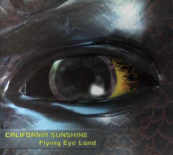 flying_eye_land.jpg