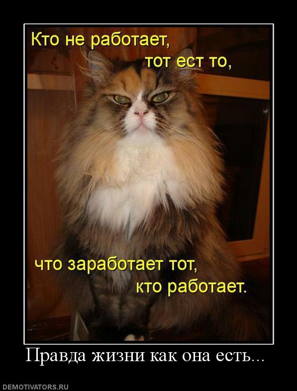 672768_pravda-zhizni-kak-ona-est.jpg