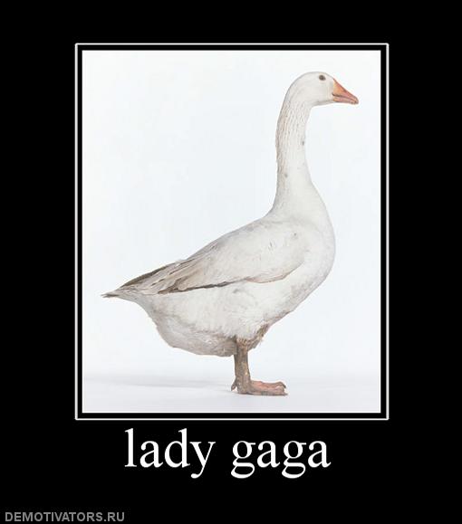 263897_lady-gaga.jpg