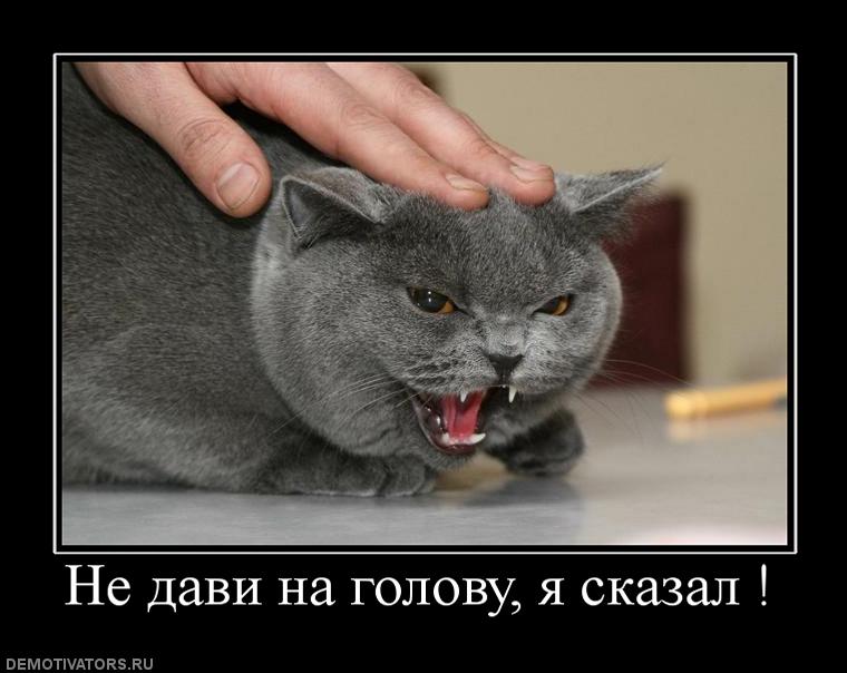 63122_ne-davi-na-golovu-ya-skazal-.jpg