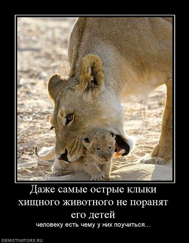 639287_dazhe-samyie-ostryie-klyiki-hischnogo-zhivotnogo-ne-poranyat-ego-detej.jpg