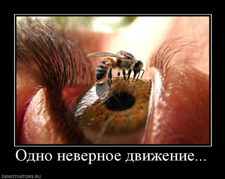 674068_odno-nevernoe-dvizhenie.jpg