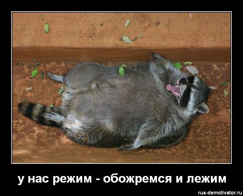 1326263823_u-nas-rezhim-obozhremmsya-i-lezhim.jpg