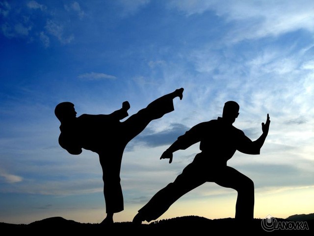 martial-arts-2-6594448_std1.jpg