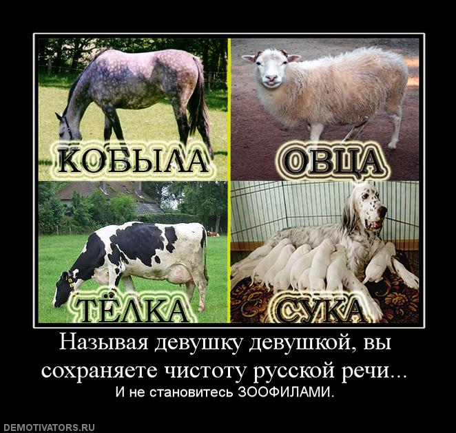 97231_nazyivaya-devushku-devushkoj-vyi-sohranyaete-chistotu-russkoj-rechi_3d6e0fce19690a9ffed57914b78ef702.jpg