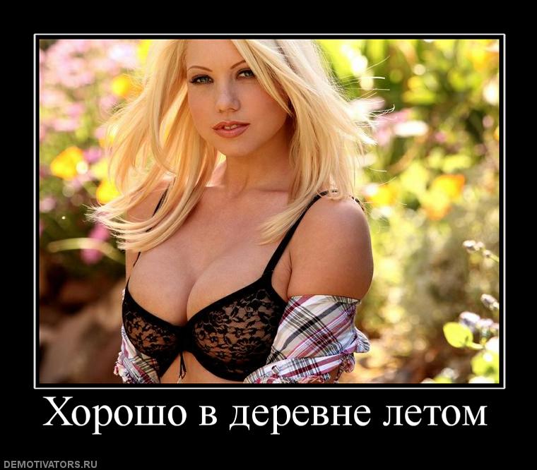453592_horosho-v-derevne-letom.jpg