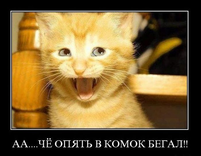 demotivator020_77e70ec77f0ba18638b3cf1a006392d6.jpg