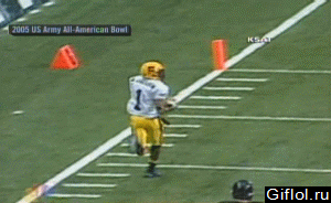 1239023890_showoff-touchdown-fail.gif