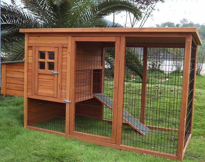 Chicken-Coop.jpg
