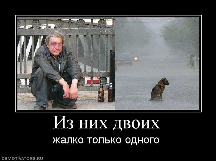 245956_iz-nih-dvoih.jpg