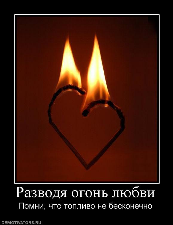 67876_razvodya-ogon-lyubvi.jpg