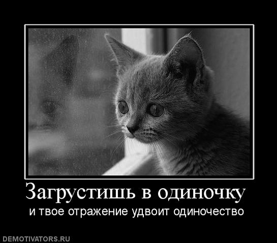 757110_zagrustish-v-odinochku.jpg