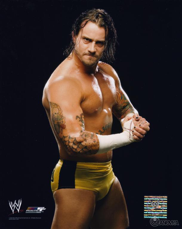 CM-Punk-cm-punk-2048101-762-958.jpg