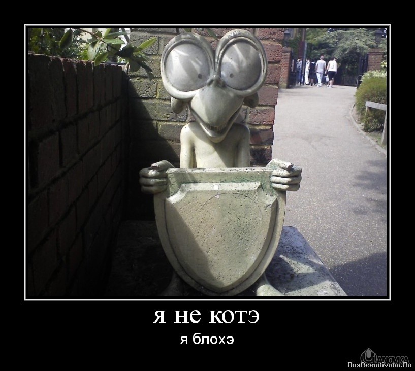 1324818521-ya-ne-kotye.jpg