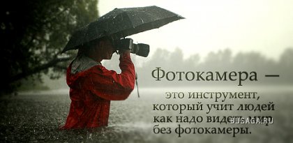 1229208515_quotation-23.jpg