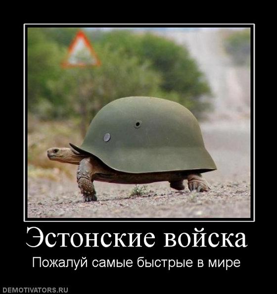 Estonskie_voyska.jpg
