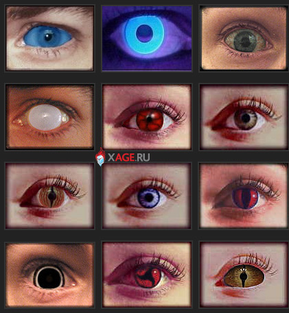 eye1.jpg