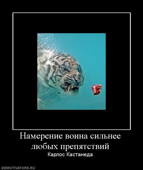 483266_namerenie-voina-silnee-lyubyih-prepyatstvij.jpg