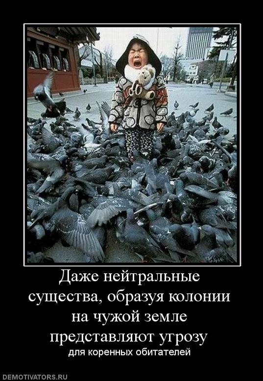 305386_dazhe-nejtralnyie-suschestva-obrazuya-kolonii-na-chuzhoj-zemle-predstavlyayut-ugrozu.jpg