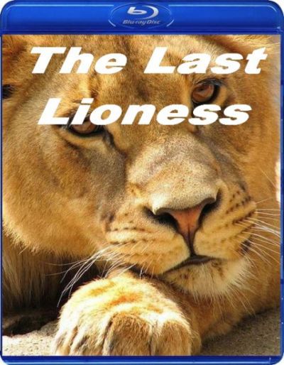 lastlioness000.jpg