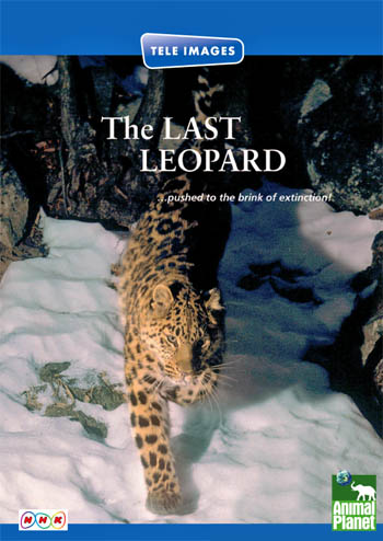 thelastleopardposterdh9.jpg