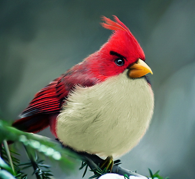 angrybirds01.jpg