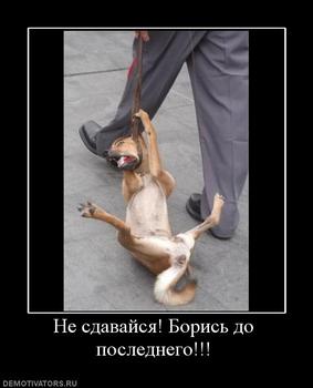 171649_ne-sdavajsya-boris-do-poslednego.thumbnail.jpg