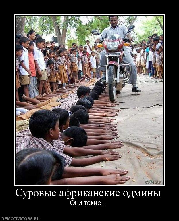 448865_surovyie-afrikanskie-odminyi.jpg