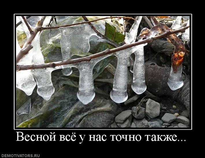 735922_vesnoj-vsyo-u-nas-tochno-takzhe.jpg
