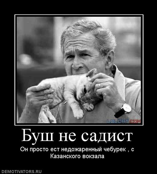 854173_bush-ne-sadist.jpg