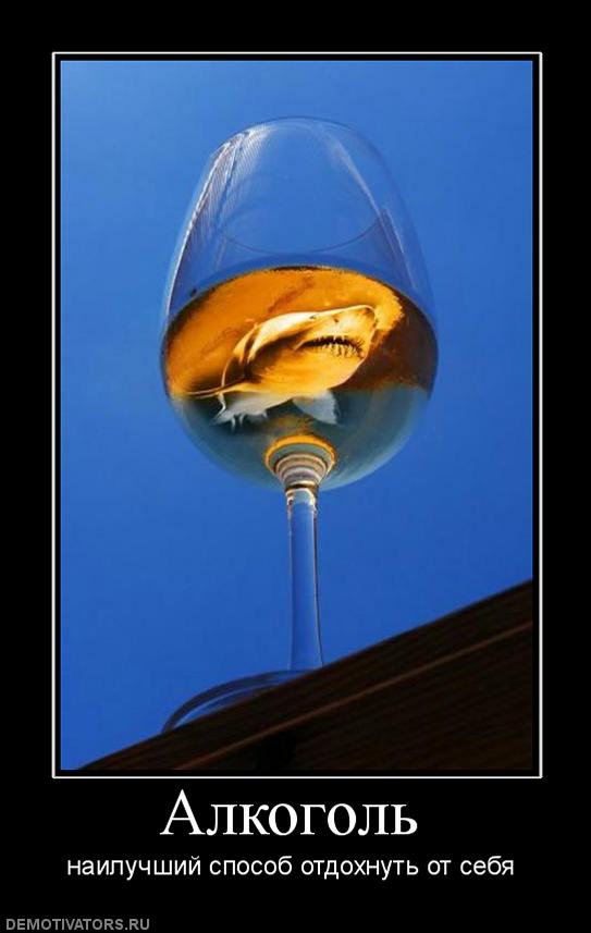 361011_alkogol.jpg